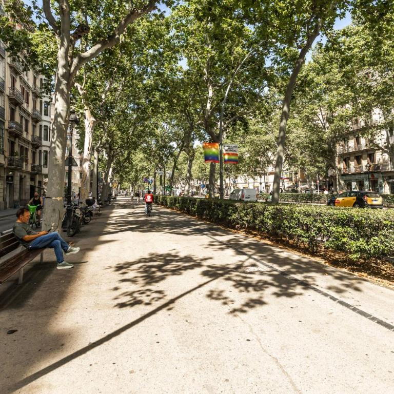 A31AGRVC1136 a lovely flat in the city centre - Apartamento - 26