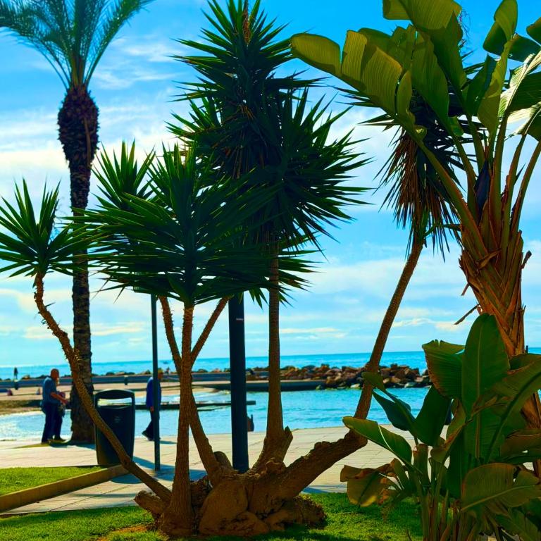 Apartament przy plaży Los Locos LA PERLA DEL MAR - Apartamento de 2 dormitorios - 33
