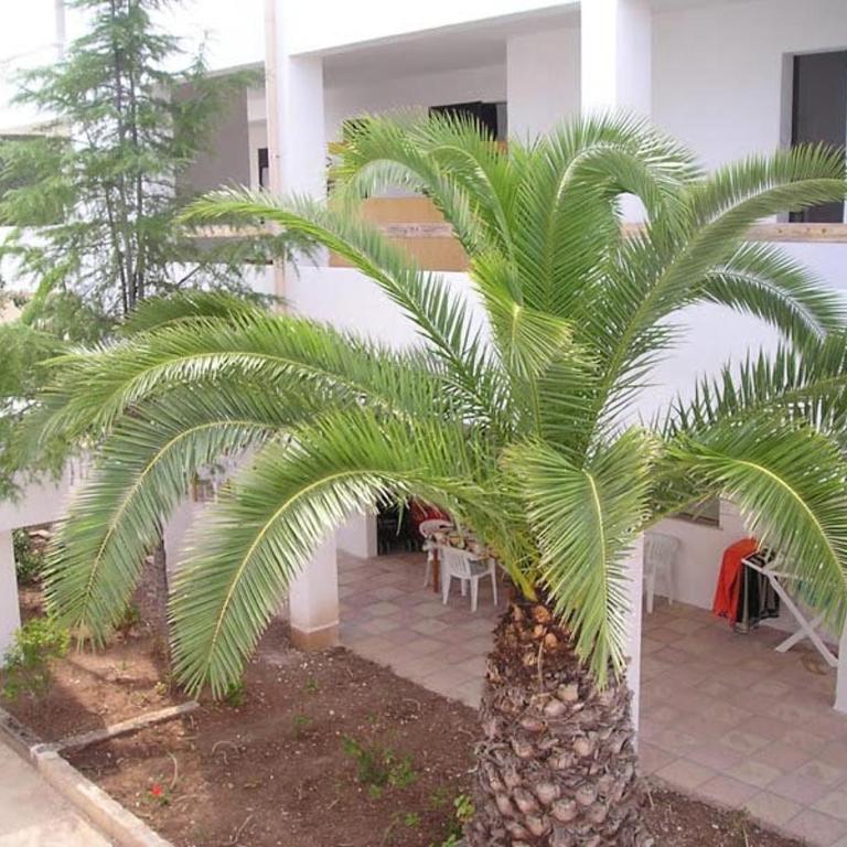 Residenza Gallo Vieste - Appartamento con 1 Camera da Letto - 13