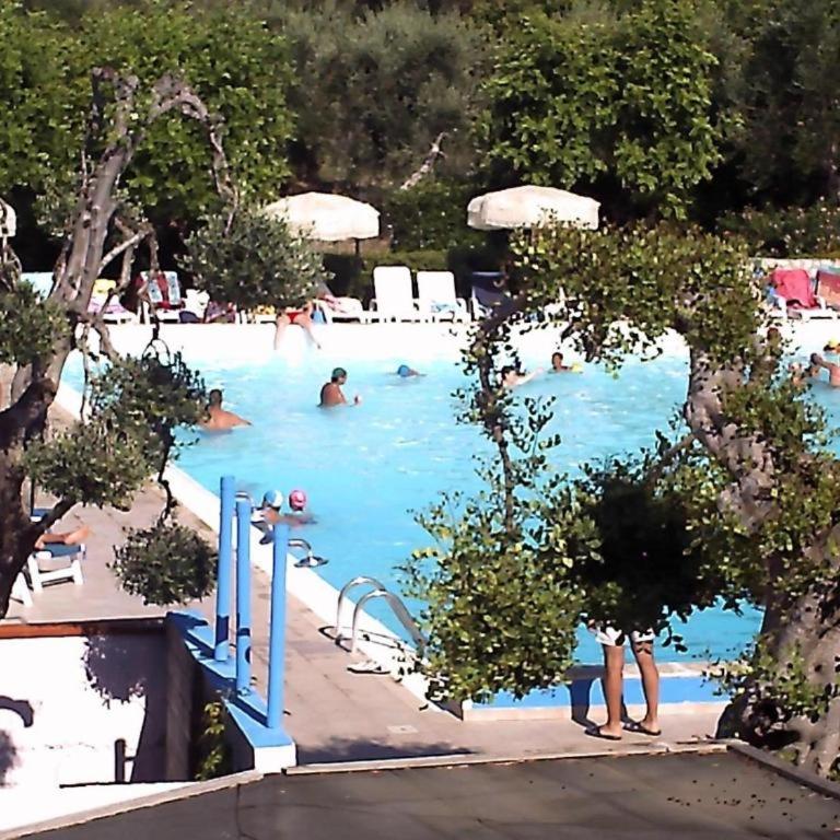Residenza Gallo Vieste - Appartamento con 1 Camera da Letto - 1