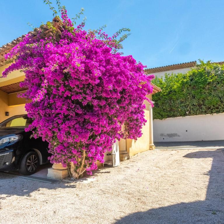 Villa Seize St Tropez - Villa - Vue sur Mer - 45