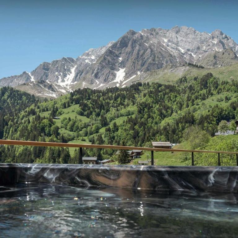 Chalet La Veya - OVO Network - Chalet - 33