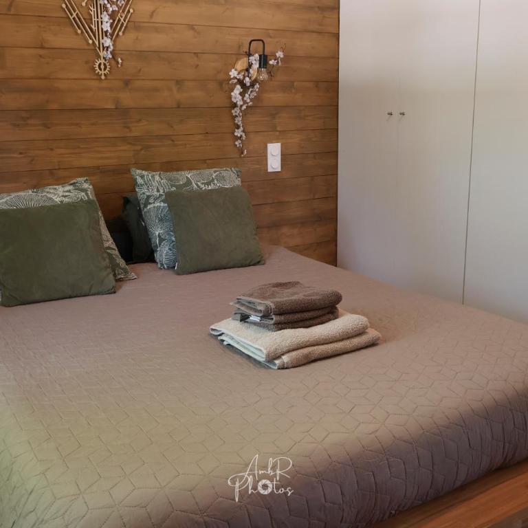Chalet tous confort avec piscine lagon - Chalet 2 Chambres - 9
