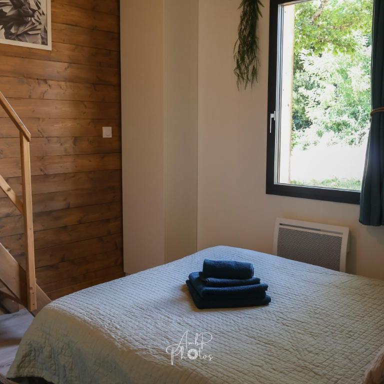 Chalet tous confort avec piscine lagon - Chalet 2 Chambres - 12