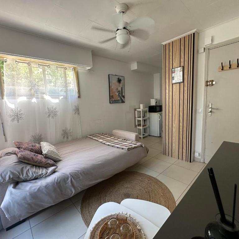 Studio cosy terrasse front mer - Appartement 1 Chambre - 2