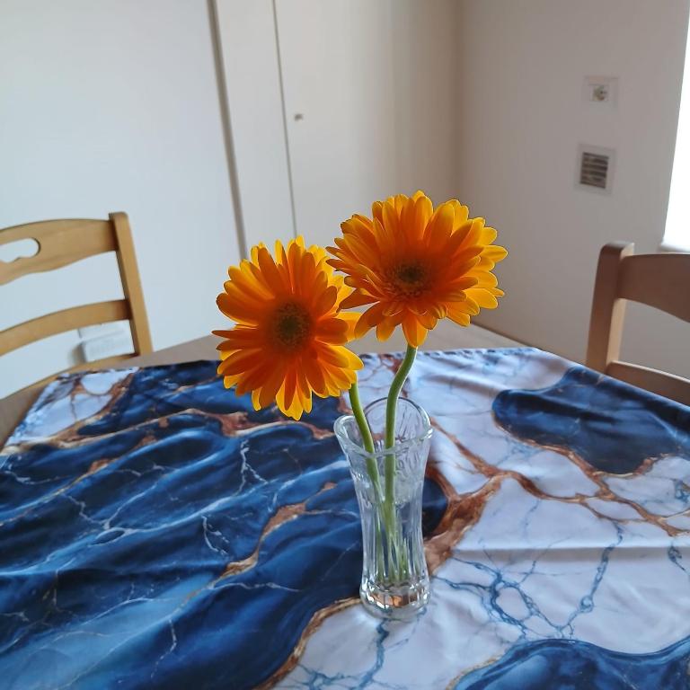 Guest House Orizzonte Blu - Apartamento de 1 dormitorio - 14