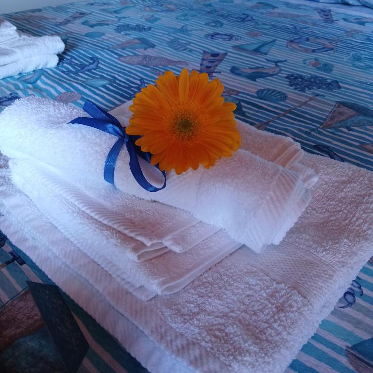 Guest House Orizzonte Blu - Apartamento de 1 dormitorio - 15