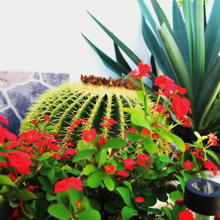 SUNNY VILLA HOLIDAY HOME - Casa - 10