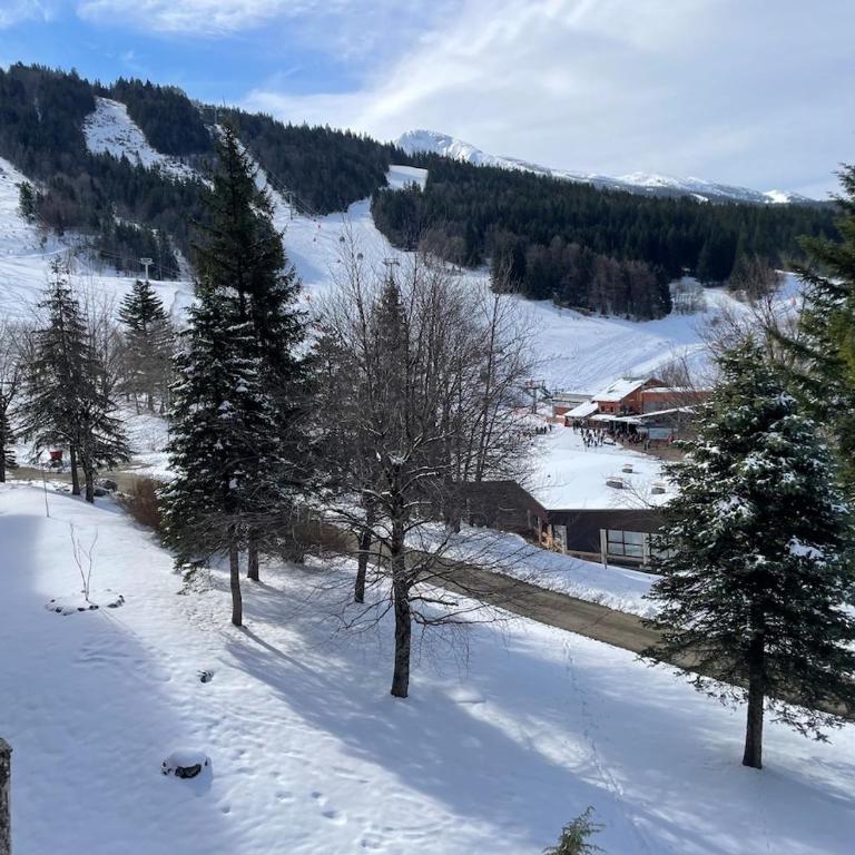 Les balcons de Villard, au pied des pistes - One-Bedroom Apartment - 13