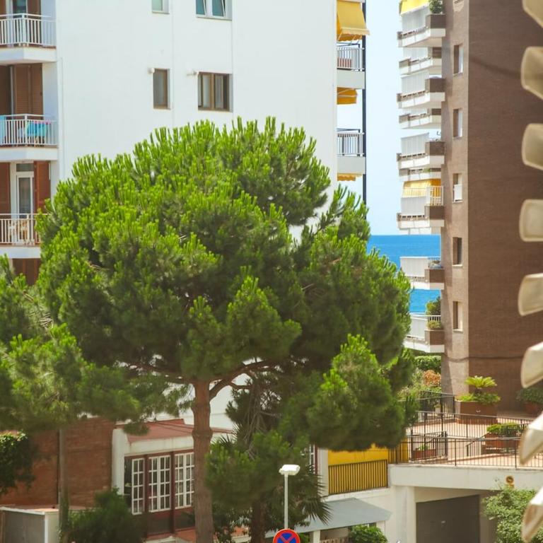 AL52 Charming apartment steps from the beach - Appartamento con 2 Camere da Letto - 26