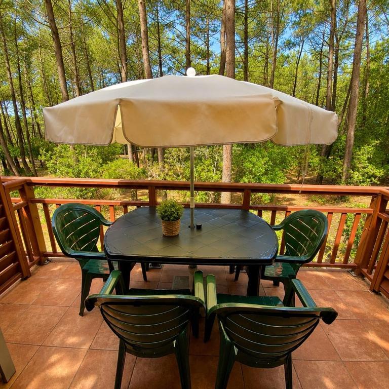 Magnifique et cosy appartement avec piscine et golf - Apartment mit 1 Schlafzimmer - 2