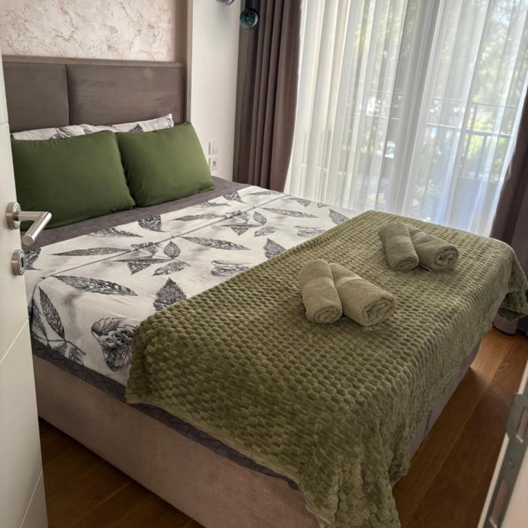 Soul Apartment Vrnjačka Banja - Apartman sa 1 Spavaćom Sobom - 26