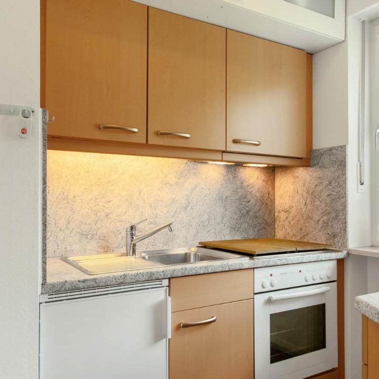 Tatzelwurm A5 - Superior Apartment mit 1 Schlafzimmer und Balkon - 7