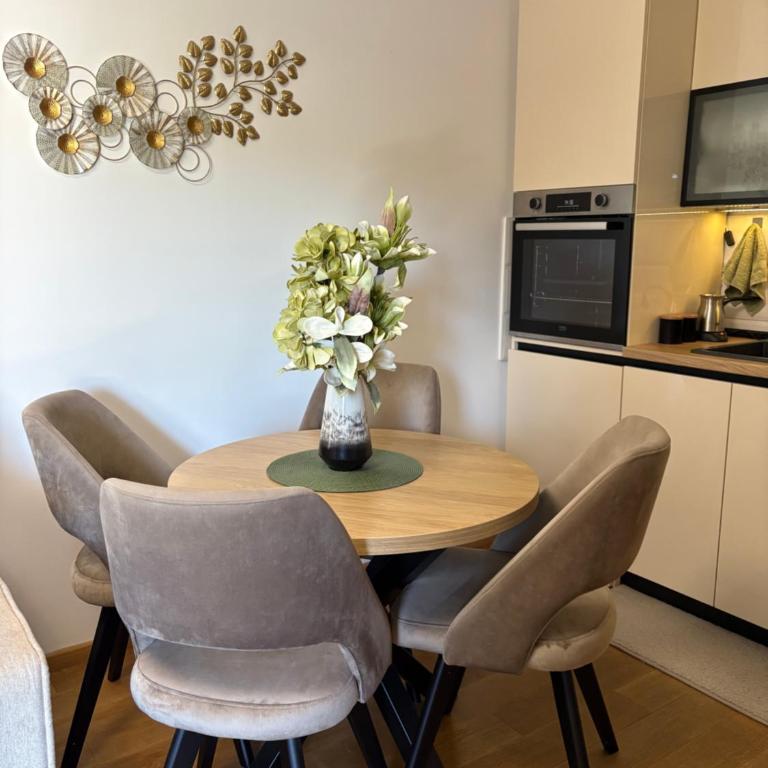 Soul Apartment Vrnjačka Banja - Apartman sa 1 Spavaćom Sobom - 6