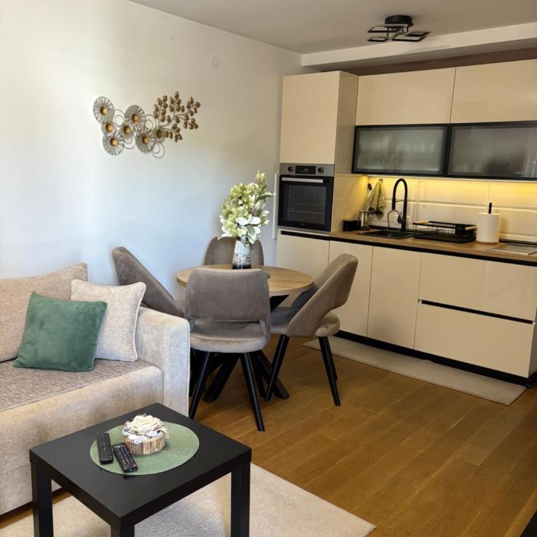 Soul Apartment Vrnjačka Banja - Apartman sa 1 Spavaćom Sobom - 5