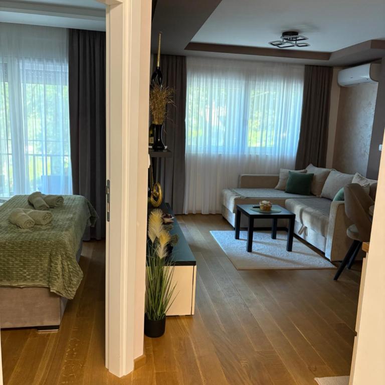 Soul Apartment Vrnjačka Banja - Apartman sa 1 Spavaćom Sobom - 11