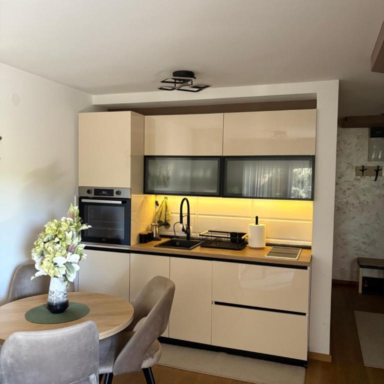 Soul Apartment Vrnjačka Banja - Apartman sa 1 Spavaćom Sobom - 3