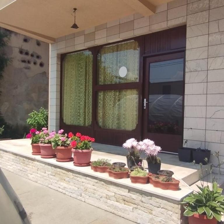 Prenoćište Samir - Apartman sa 1 Spavaćom Sobom - 1