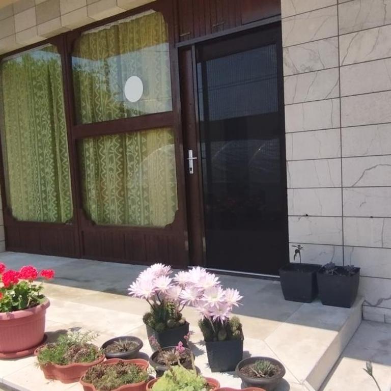 Prenoćište Samir - Apartman sa 1 Spavaćom Sobom - 18