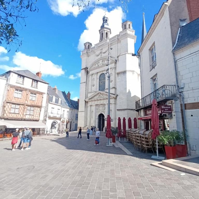 Appartement calme proche de la Loire - Appartement - 32