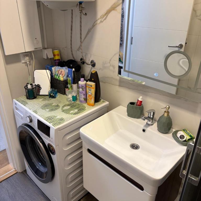 Soul Apartment Vrnjačka Banja - Apartman sa 1 Spavaćom Sobom - 13