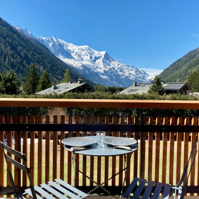 studio residence les Grands Montets - Estudio con vistas a las montañas - 20