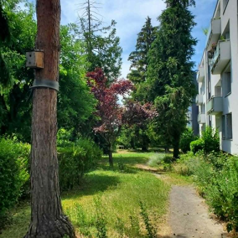 Charmant F2 avec vue, proche centre - Appartement 1 Chambre - 15