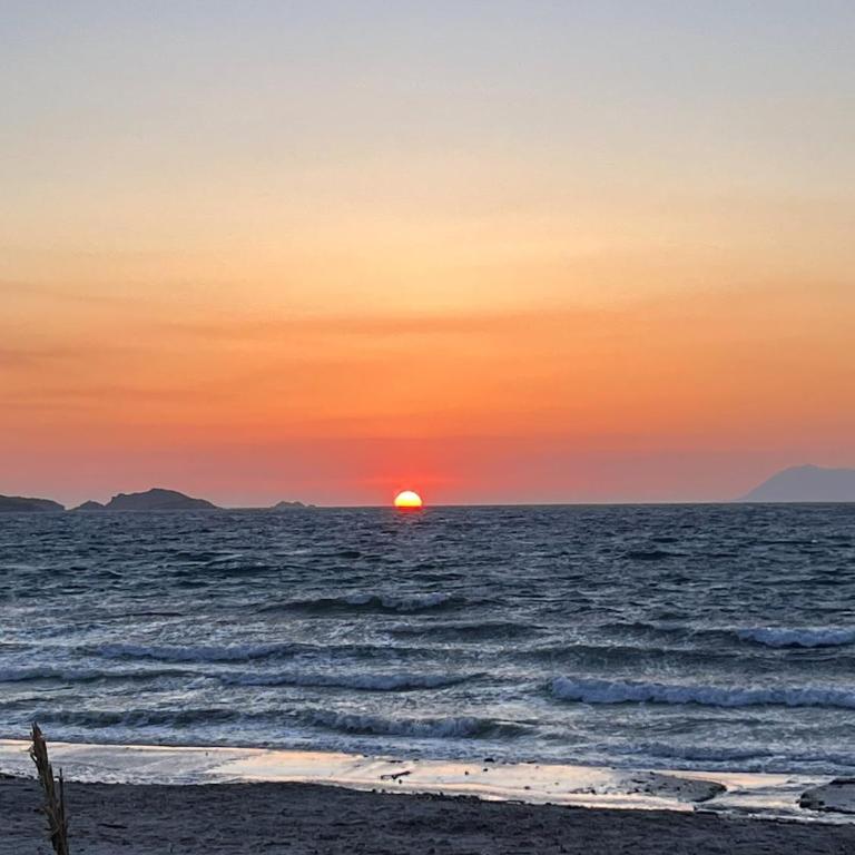 Cozy studio Almanarre beach - Appartement 1 Chambre - 20