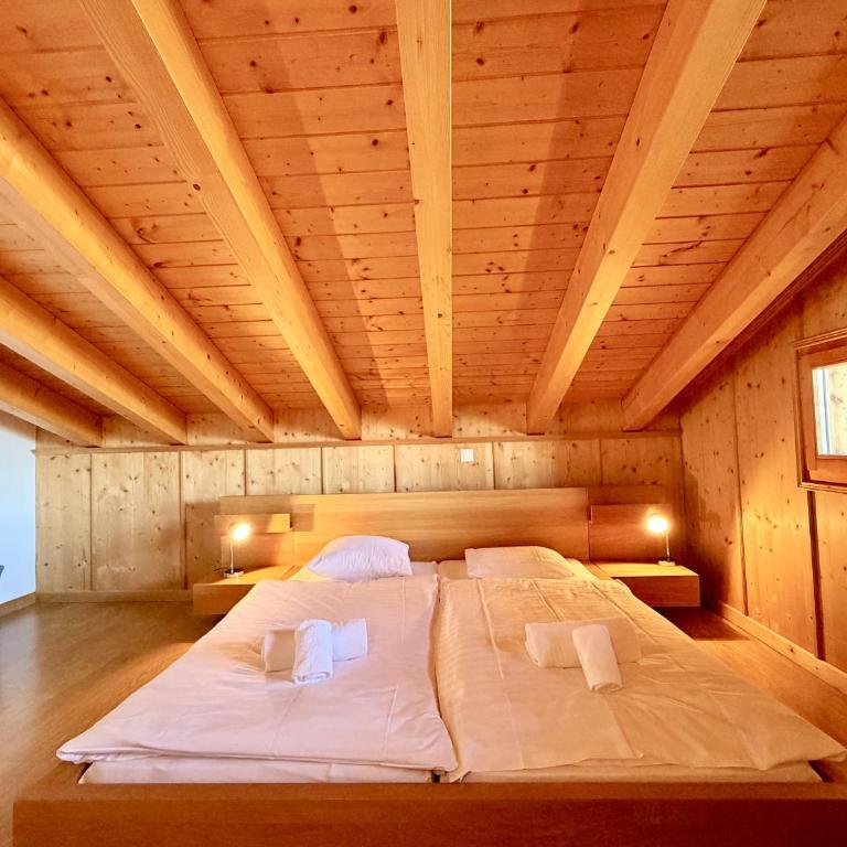 Tschoueilles 009 MOUNTAIN & VIEW - chalet 12 pers - Chalet 6 Chambres - 009 - 18