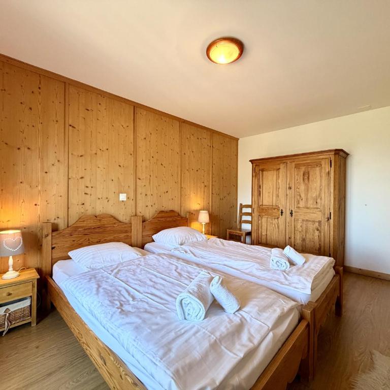 Tschoueilles 009 MOUNTAIN & VIEW - chalet 12 pers - Chalet 6 Chambres - 009 - 22