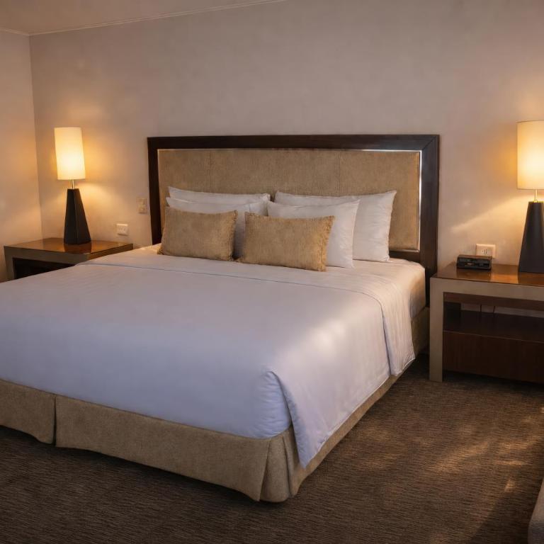 Regal Pacific Puerto Madero - Suite Presidencial - 1