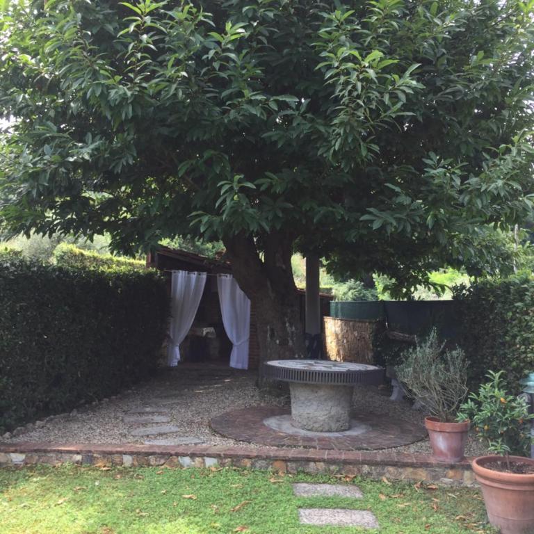 LA CAPANNA TOSCANA con PISCINA - AIR CONDITIONING - Wi Fi - Casa Vacanze - 5