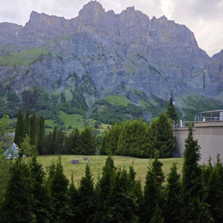 Schlossli-Le Petit Chateau - Apartment mit 2 Schlafzimmern und Bergblick - 1