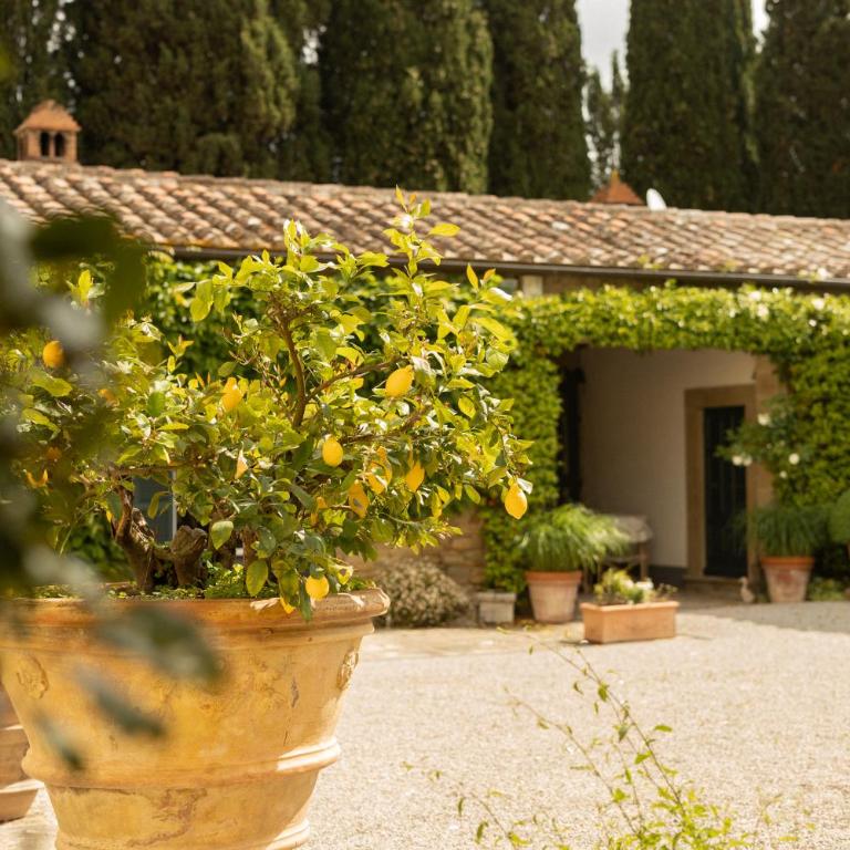 Villa di Piazzano - Small Luxury Hotels of the World - Junior Suite Cortile - 1
