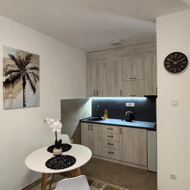 Aurea Novi apartman 1 - Apartman sa 1 Spavaćom Sobom - 1