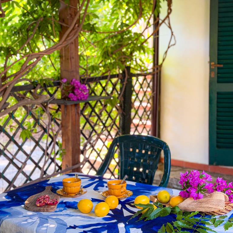 Appartamento Libeccio - HelloElba - Casa con 1 Camera da Letto - 19