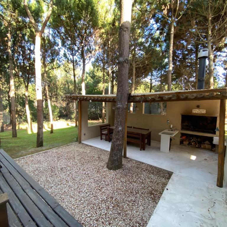 Casa en el bosque y cerca de la playa - Casa de 4 dormitorios - 6