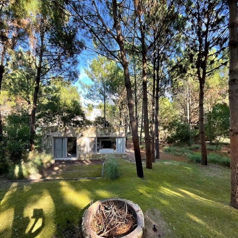 Casa en el bosque y cerca de la playa - Casa de 4 dormitorios - 24