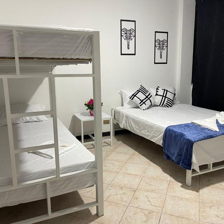 Habitacion sencilla - Twin Room - 1