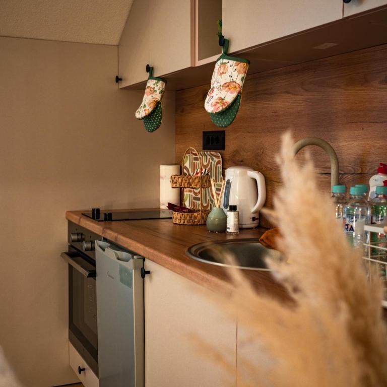 Central Nest Apartments - Apartman sa 1 Spavaćom Sobom - 17