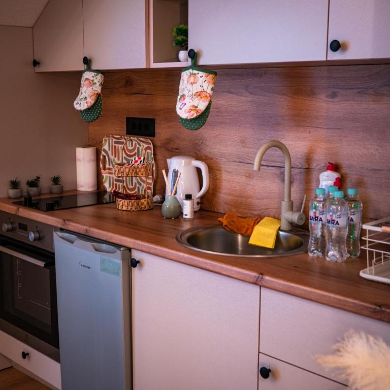 Central Nest Apartments - Apartman sa 1 Spavaćom Sobom - 21