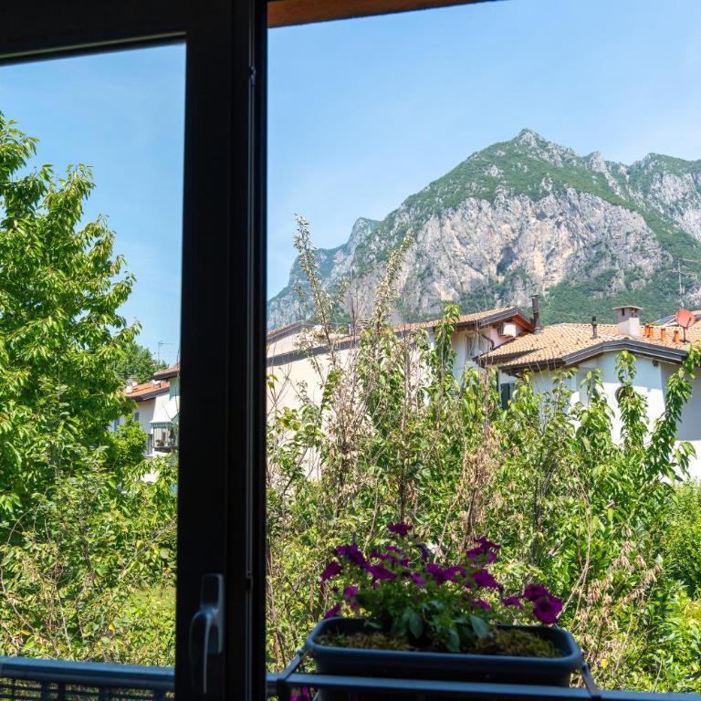 La Casa del Colibrì - Appartamento con Vista Montagna - 21