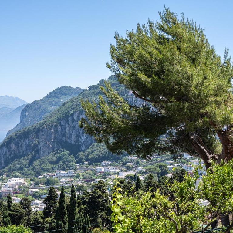 Casa Clotilde - nel Cuore di Capri - Apartamento Superior de 1 dormitorio con balcón - 48