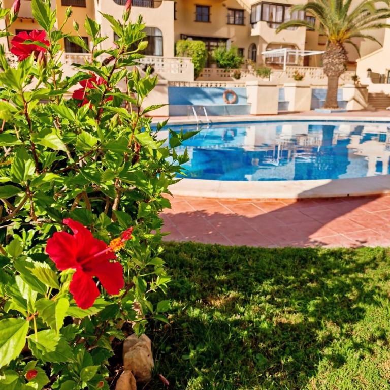 Sea views holiday DaNuria - Apartment mit 2 Schlafzimmern - 1