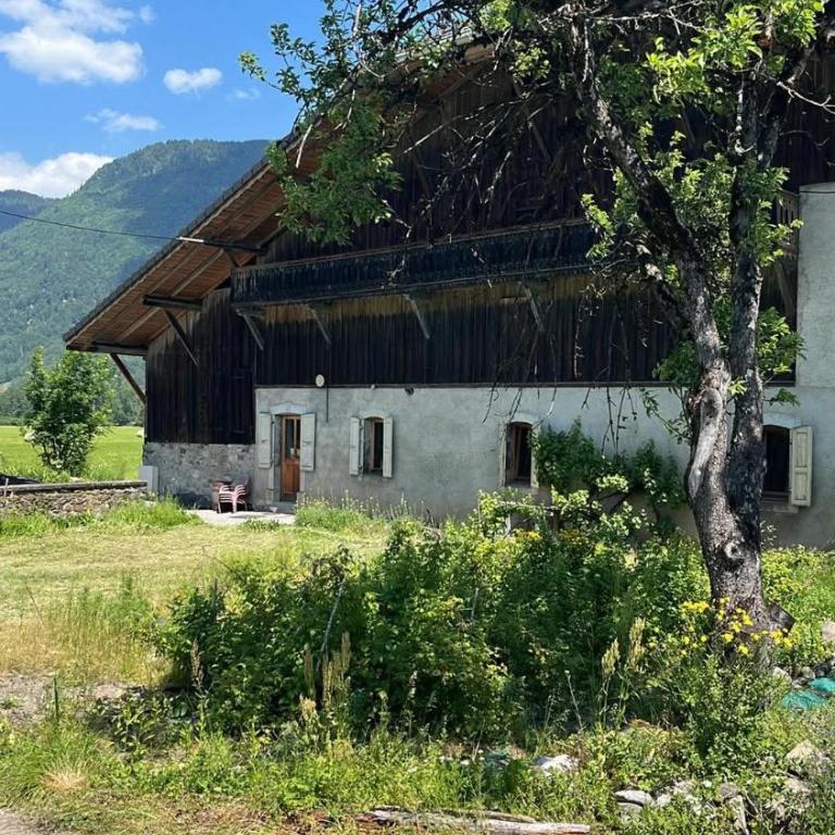 Appartement chaleureux au cœur des montagnes - Appartement 2 Chambres avec Terrasse - 1