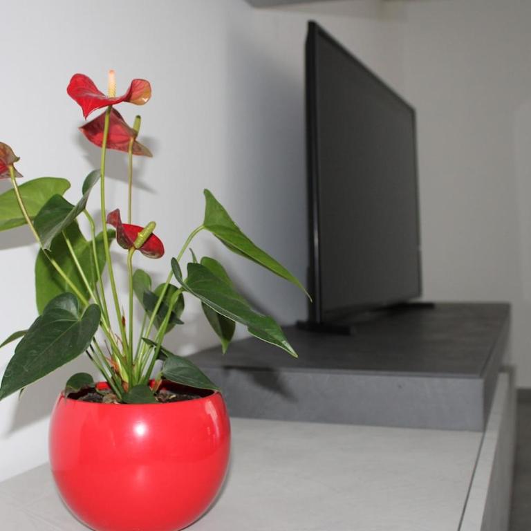 Kalloreat Home - Appartamento con 1 Camera da Letto - 3