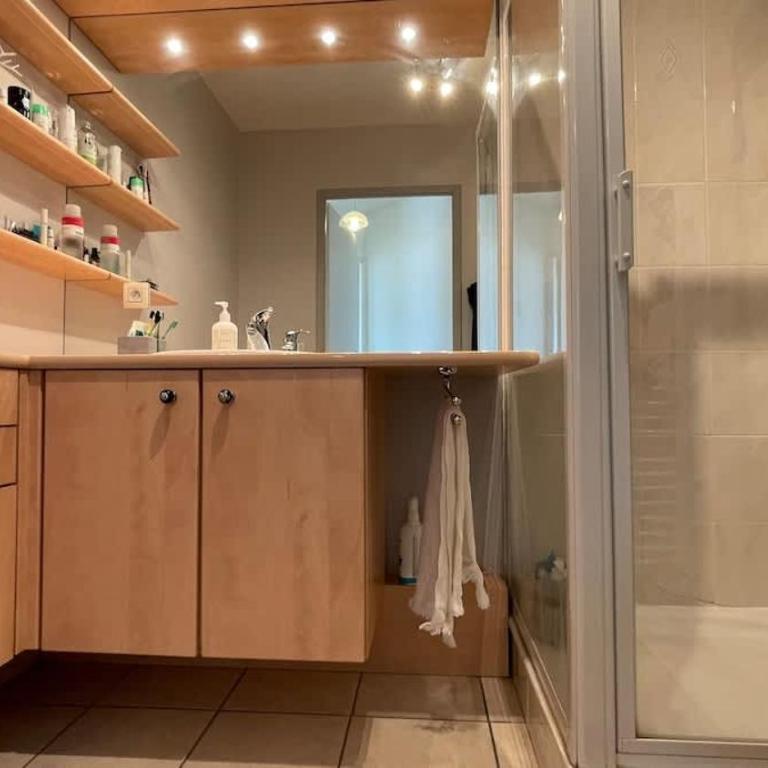 Les Capucines Annecy Appartement T3 ideal pour une famille ou 2 couples - Apartamento - 5