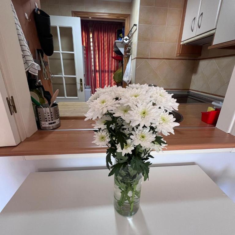 Los Cisnes 158 - One-Bedroom Apartment - 15