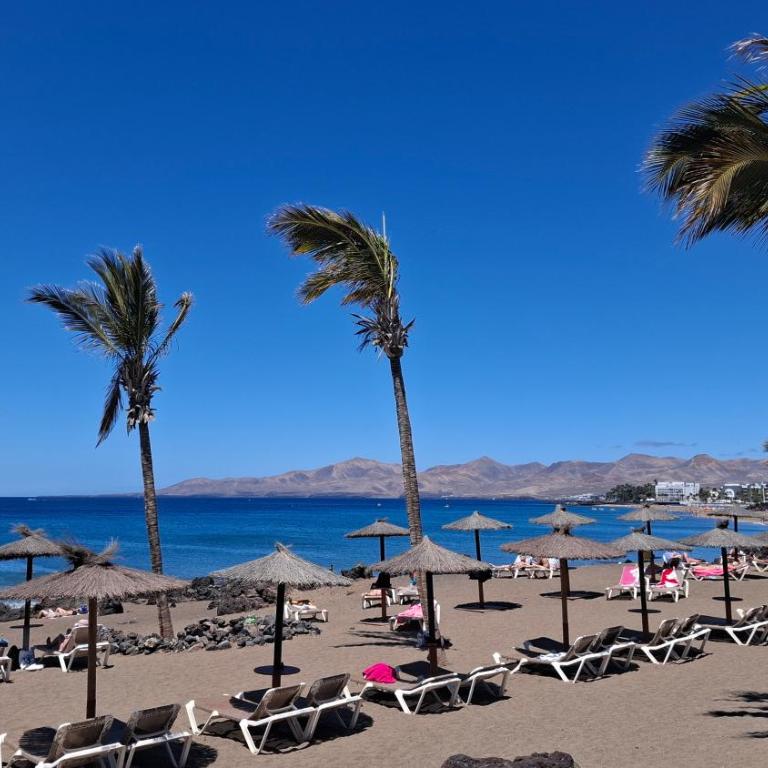Apartamento Oasis Azul, vista oceano. - Appartement 1 Chambre - 23