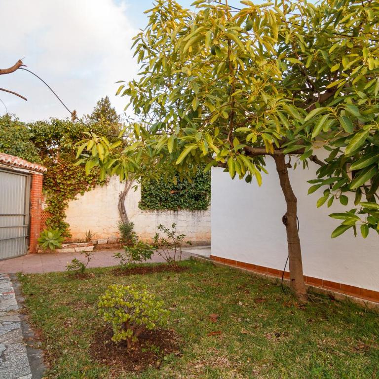 Villa Francisca Casasol - Villa de 3 dormitorios - 15